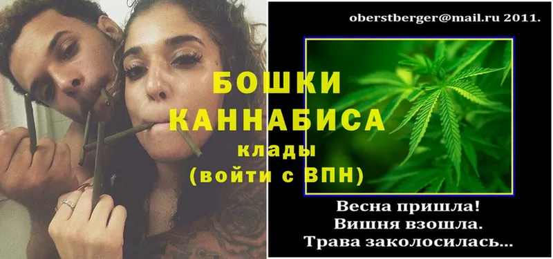 Как найти наркотики Малмыж ГАШ  Метамфетамин  МЕФ  Бошки Шишки  Cocaine 